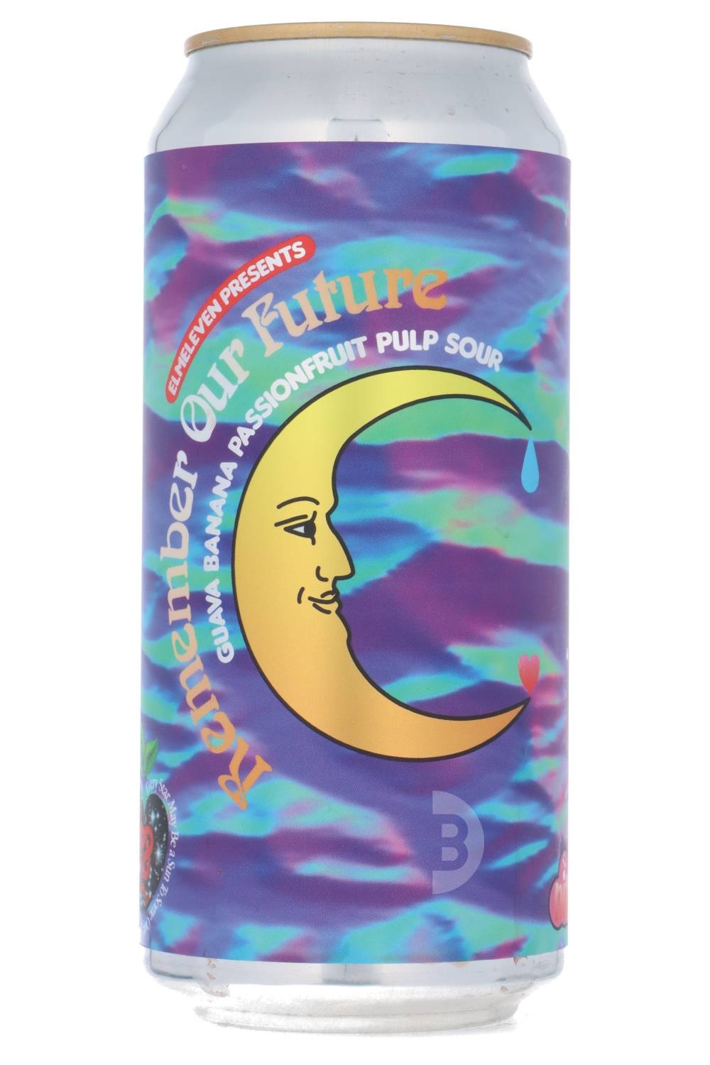 elmeleven_remember_future