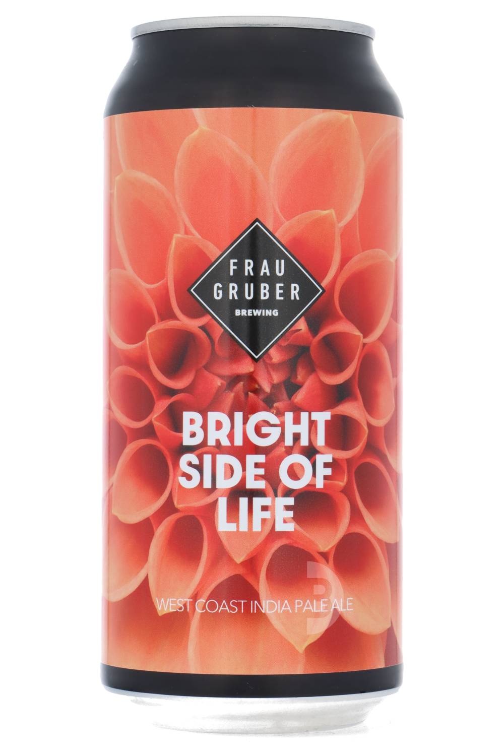 fraugruber_bright_slide_life